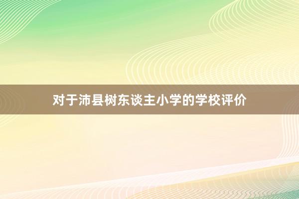 对于沛县树东谈主小学的学校评价