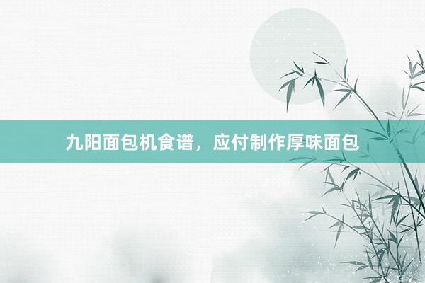 九阳面包机食谱，应付制作厚味面包